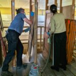 Emerging Conservators