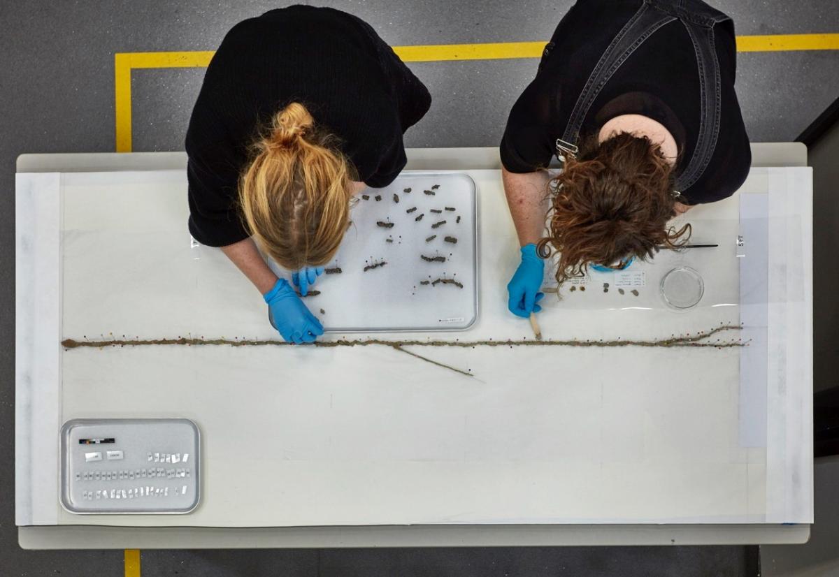 Sarah Babister and Dani Measday working on the Fulgarite,  Copyright Museums Victoria 2018. Photographer: Benjamin Healley