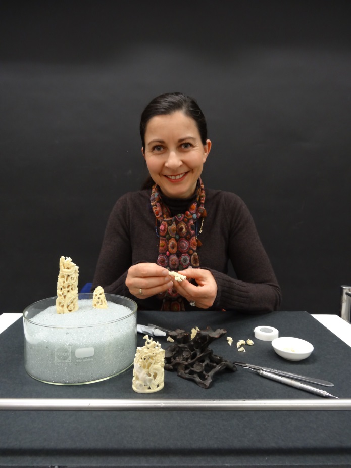 Sophie Parker’s treatment of a fragmented carved ivory tusk.