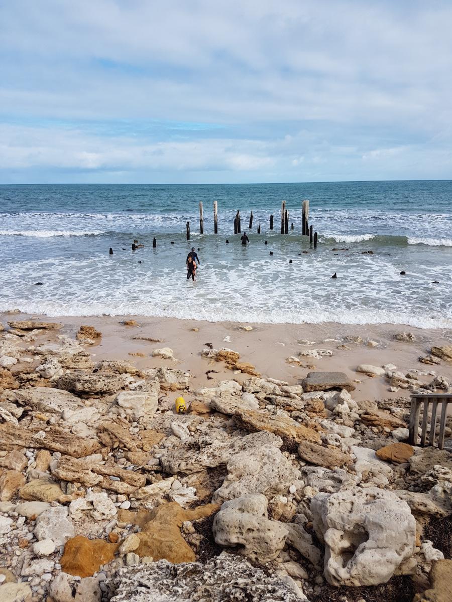 Port Willunga Jetty during the Conservation Practicum. Image: N. Flood
