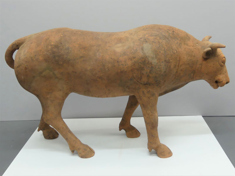 Chinese_Terracotta_Bull_A_T