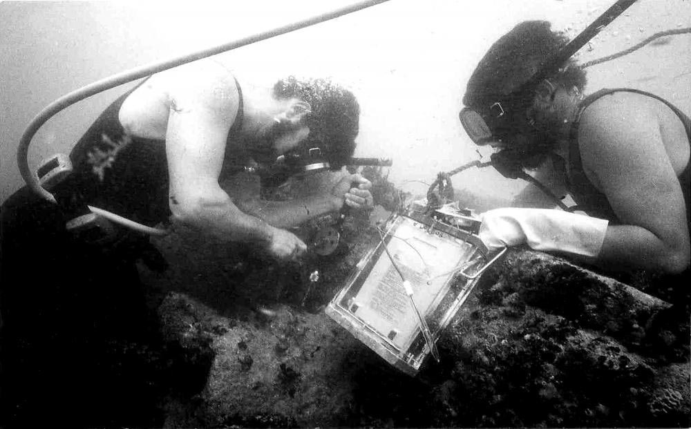 Divers completing underwater conservation work