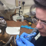 Zora working on bronze sculpture