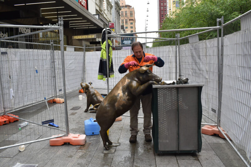During treatment (DT) – cleaning and graffiti removal by abrasion. Note the bright golden-coloured patch on the flank of the pig showing the extent of the damage.