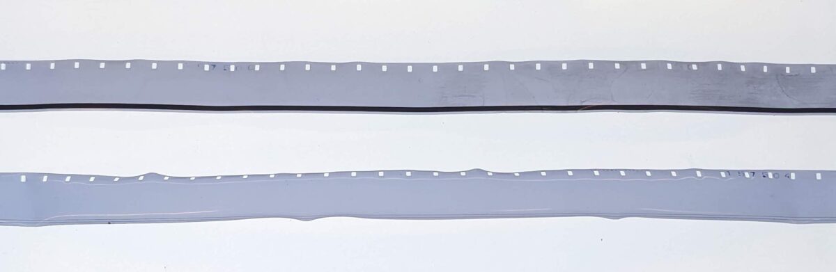 Degraded 16mm cellulose triacetate film samples, ‘de-shrunk’ (above) and original state (below), documented as part of ‘De-shrinking cellulose triacetate: vapour chamber methods to aid preservation of decomposing motion picture film’, a minor thesis paper by Ben Abbott. Image credit Ben Abbott.