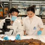 University of Melbourne students Zeejay Tan and Chuquing Huang from the Master of Cultural Materials Conservation Progam. Image: Grimwade Centre for Cultural Materials Conservation, 2025.